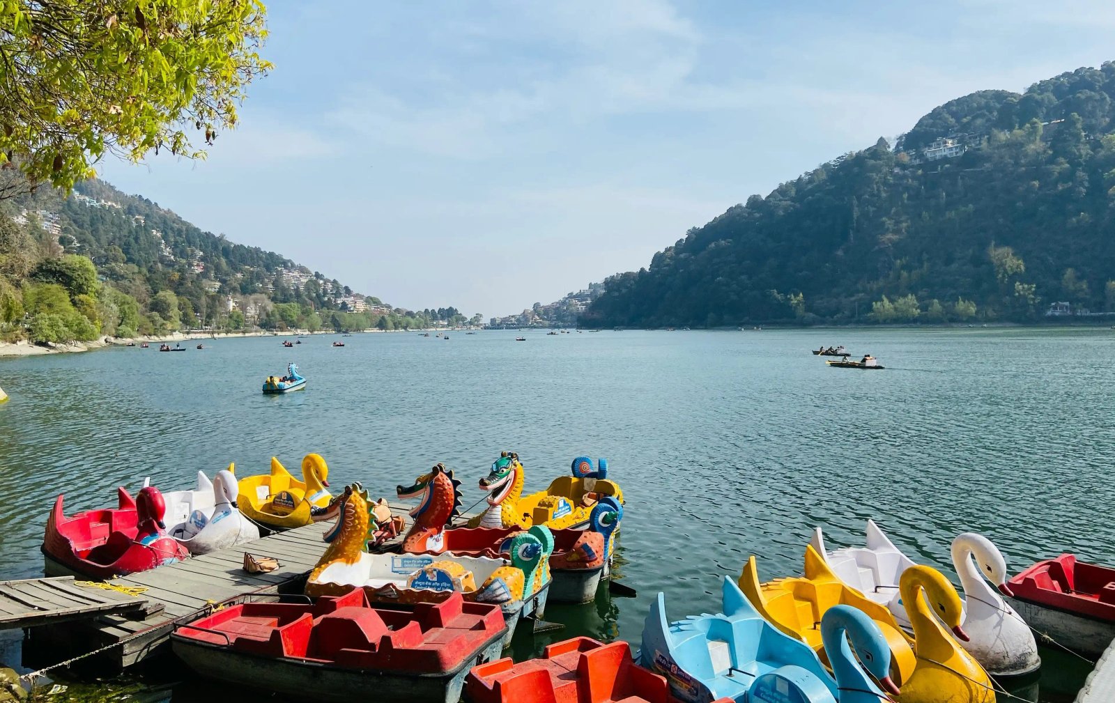 Nainital Hills